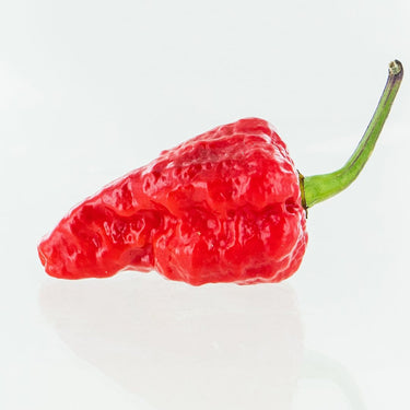 Red Naga Brain Pepper Seeds - The Pepper Pantry (Formerly Marie Sharp's)